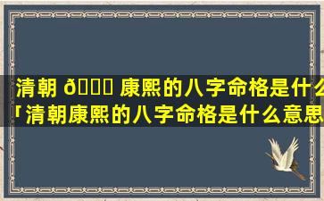 清朝 🐟 康熙的八字命格是什么「清朝康熙的八字命格是什么意思」